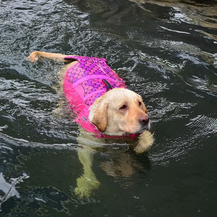 Mermaid Dog Life Jacket - InfiniteWags Life Jacket for Dogs