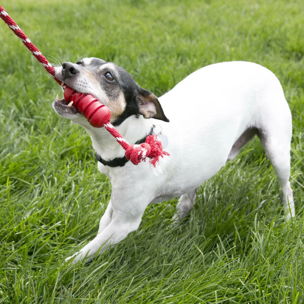 Shop KONG Dental w/Rope Teeth Cleaning Dog Chew Toy